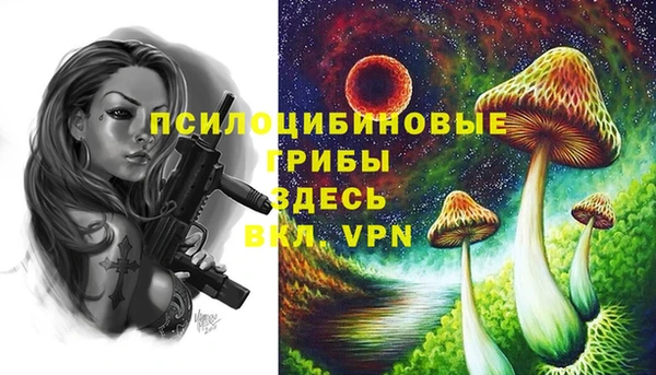 дурь Алексин