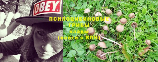 марки lsd Тында