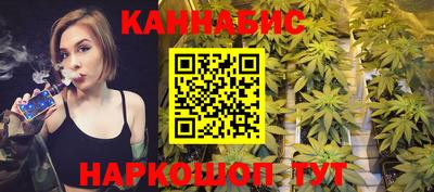 гидра Будённовск