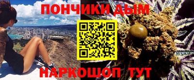 гидра Будённовск