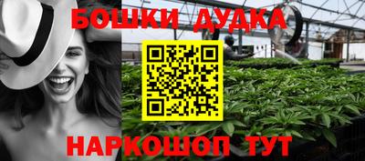 гидра Будённовск