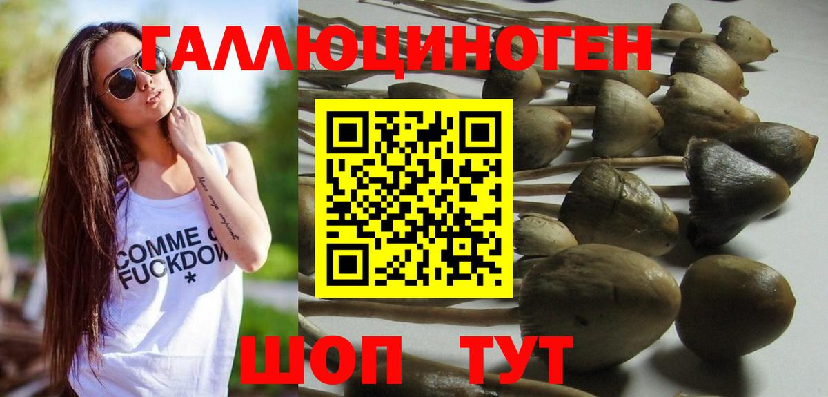 Галлюциногенные грибы Psilocybine cubensis  Галлюциногенные грибы Psilocybine cubensis  Челябинск 