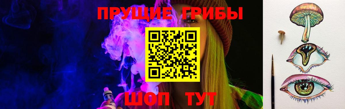 Псилоцибиновые грибы мицелий Челябинск